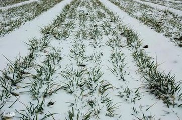 ��ѩ�^���@���cһ��ע�⣡�������׃����