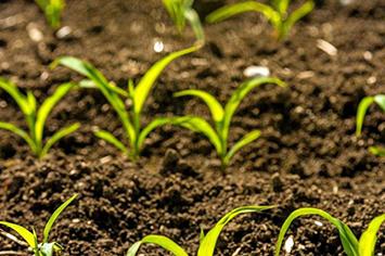 ���ײ��N�磬С�Ĳ����磡���ײ���զ�_����