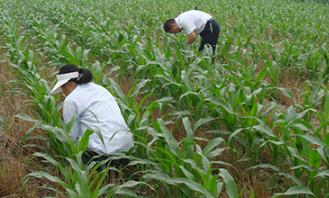 ���ӌ�(du��)�����M(j��n)���������ԣ������������Լ���