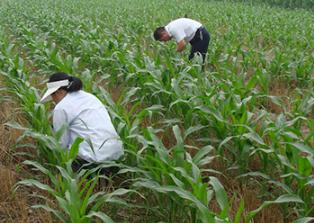 ���ӌ������M���������ԣ������������Լ���