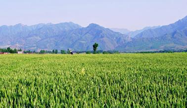 С�����F��ɫ������ô���£�С�����F��ɫ����μ���