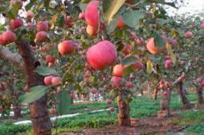 ���@������+�������u�� ԓ��ô���ȣ�