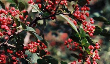 ������������������ƌW(xu��)��������