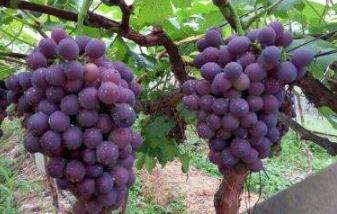 ���ѳ���r�g��ʲô�r��������ʲô����(ji��)��ˮ��