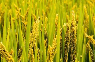 �|���؅^(q��)ˮ���к������g�������g(sh��)��Ҋ