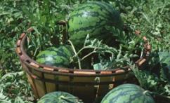 ���ӿ����ж����ϳ��죿���ϳ���ı��F