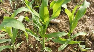 �������С��ͬ��ʲô�r����~��ʺ��m��