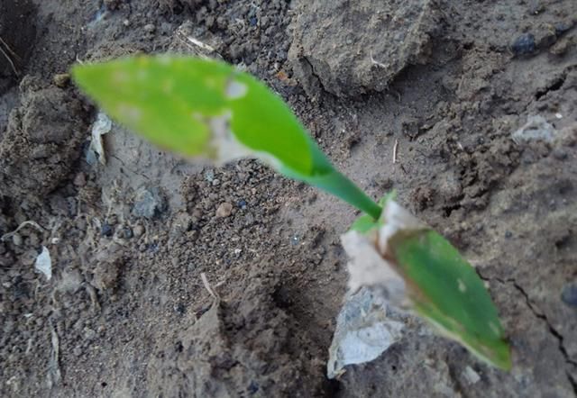 ������l(f��)��ˎ����զ�k��