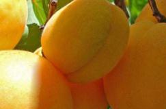 ���Ӯa��������������ʲô�r���ժ