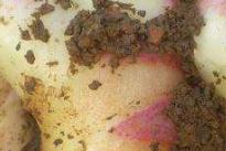 �ļ������Ĺ����������ļ������������g(sh��)Ҫ�c(di��n)