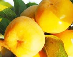 �����ļ��޼����õķ�������Щ�������ļ��޼�����