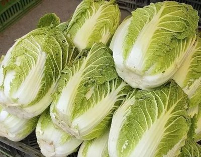 ��ײ���ô��������ײ˰����ڹ����P�I���g