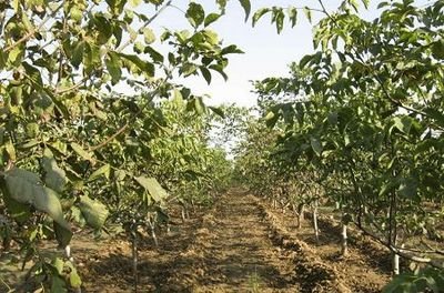 ���Ҙ䲻�Y����ʲôԭ����ɵģ�