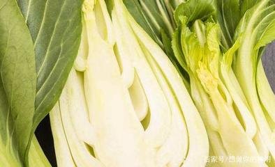 С�ײ����ӷNֲ��С�ײ˸߮a�Nֲ����