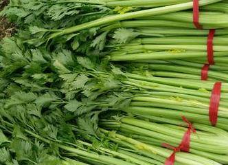 ������ô�Nֲ�ܸ߮a�����۵����෽��