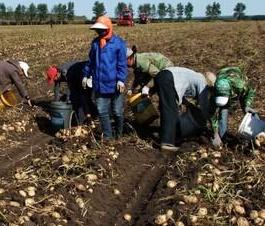 �＾��ηNֲ�R�����