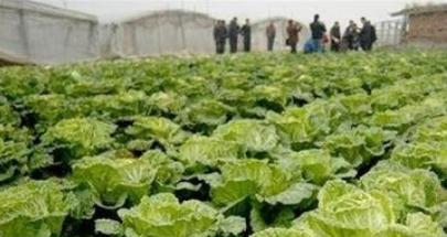 ʩ�ʕr���׷��e�`����Щ��