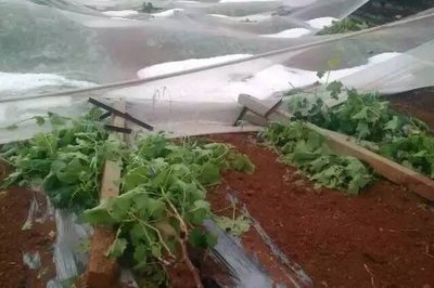 �_�L��������ш@�֏����a���gָ����Ҋ