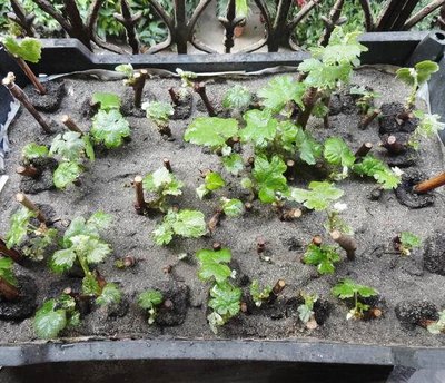 ����Ǥ�巽��������嵽�����У�һ��󲻳�]