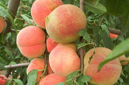 �Ҙ�䲻�Y����զ���£�