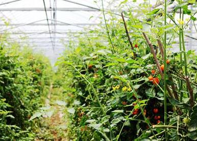 �Oʩ�����＾���� ���շ���Ʒ�|����