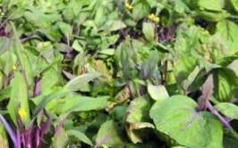 �ͺ��߲���֪���׷N���㲻֪���ҁ����V�㣡