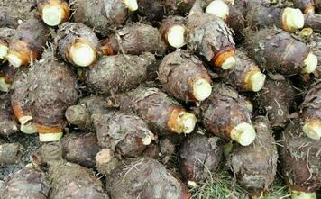 ����Д����^�Ƿ���죿