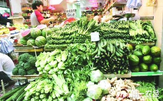 �＾�Nֲ��Щ�߲˺ã��＾�߲˷Nֲָ�ϣ�