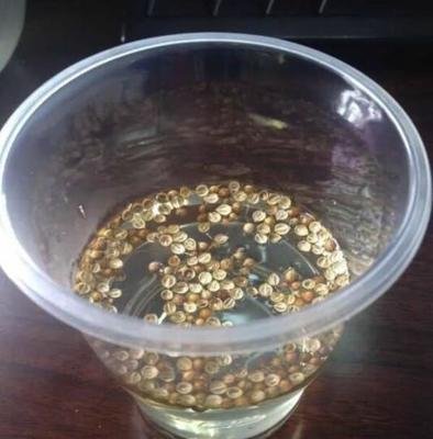 ��˷N����δ�ѿ�������߳����ʵĺ÷�����