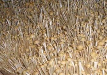 �������N��ᘹ������������������ᘹ�����������