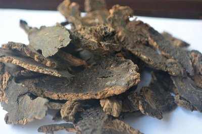 ����ʲô�r��Nֲ�������ķNֲ�r�g���Nֲ������