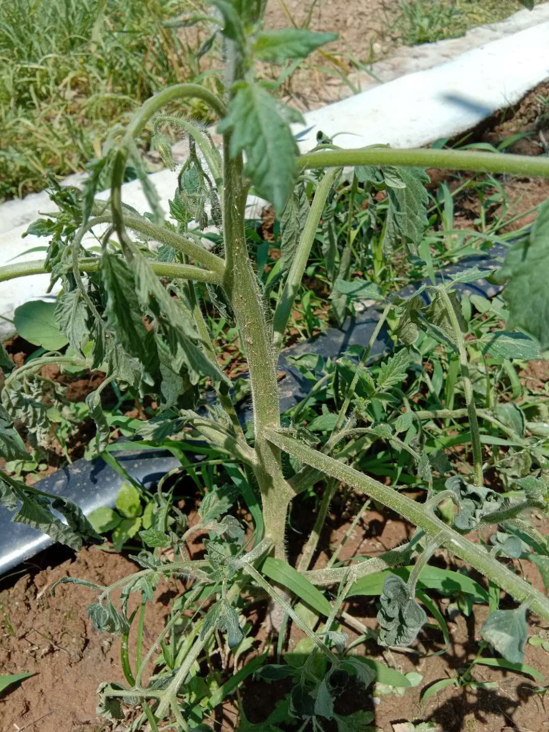 ���ѵ�����ݲ���ô�k��������ݲ��ķ��η�����