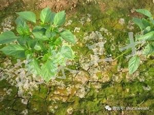 �o������ԓ����޼����@Щ����ֵ���ղ�