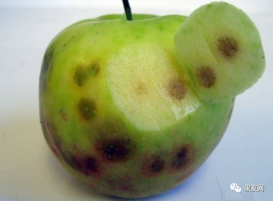 �O�����˿ර����ô�k���ර���ķ��δ�ʩ