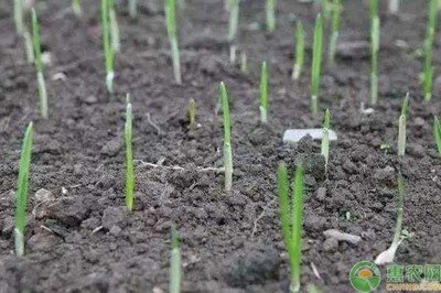 �@�׏�?ji��n)���֪�������������S��������