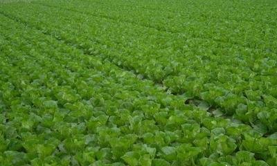 �ӱ�ʡ2019�궬ǰС��������� ���������������g���h