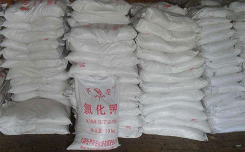 ���؃r��F����