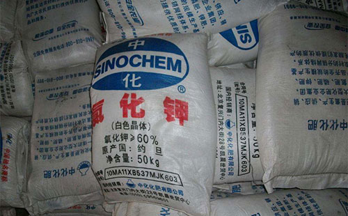 ⛷ʴ�����{�N�ۃr���������a��I����^���B��