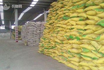 ������I������r �Ј����^������������