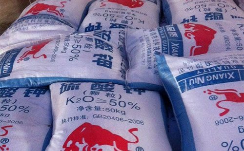 ���ʮa���F9���µ�