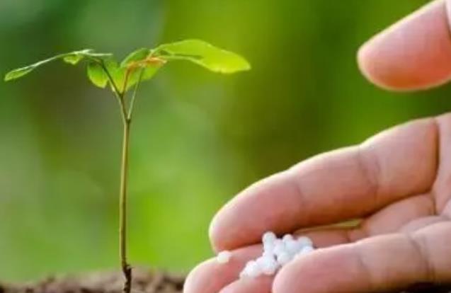 ��ǰһ�@�½�30-50Ԫ/�������@�����_4�����F�M�����ģʽ