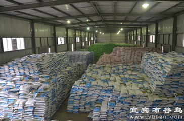 ���ʃr���^�m�ϝq�������Ј��������Ć᣿