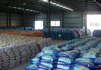 2018�괺���^��ͺϷ��Ј��򌢷������