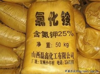 �����Ȼ��@��(w��n)���ϝq �A(y��)Ӌ�Ȼ��@�r������һ�Εr�g�ϝq