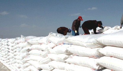 ���@��(j��ng)�N�̴�����ُ(g��u)��Ը��(y��ng)������(du��)�^�� ��?q��)����t��3�³�