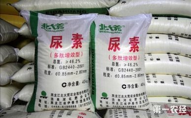 �K��؅^���ʃr׽����͸�������֔����