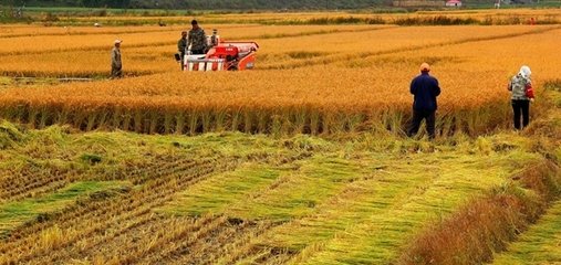 ⛷ʹ������㣬��ʲô߀�q�r��