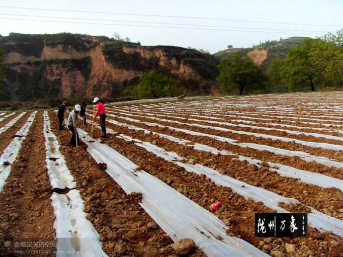 �������ʃr������A�ڣ����Е���ô����