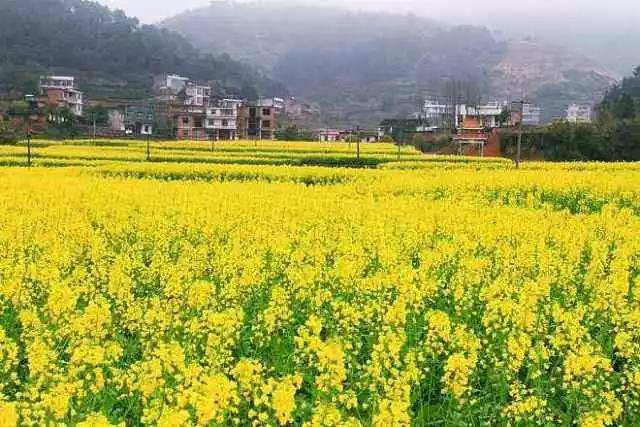 ������K�����𴺸����|���d�r�����ÑB�ݣ�