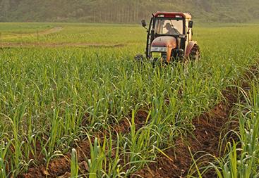 �����÷ʻ�����β�����K�؅^�ļ��ʅs�ձ鿴�q��������ʲôԭ��